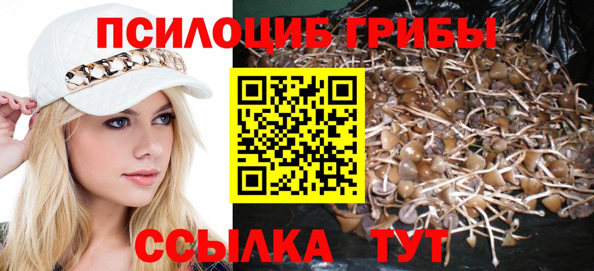 Лабинск  Галлюциногенные грибы Psilocybine cubensis  Вход с VPN 